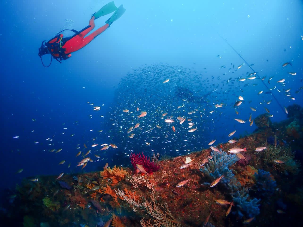 神子元に熱海に雲見…伊豆のワイド3強！！