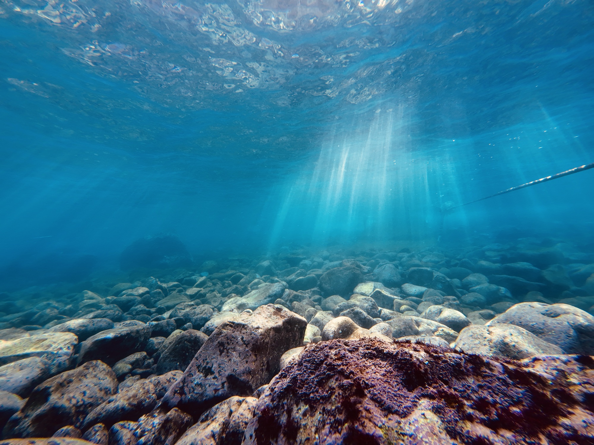 富戸ヨコバマへ！ベストシーズンって、こういうこと。