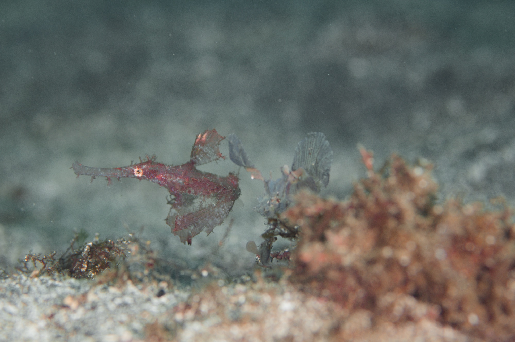 ただいま福浦！やっぱ楽しいや。