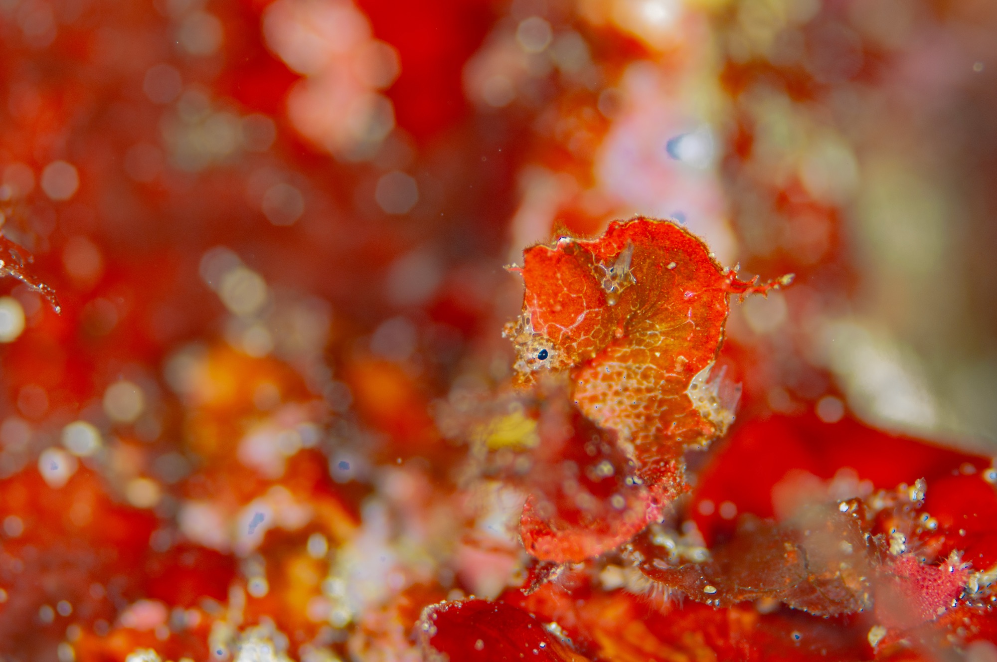 【冬季の営業について】あけましておめでとうございます2026！