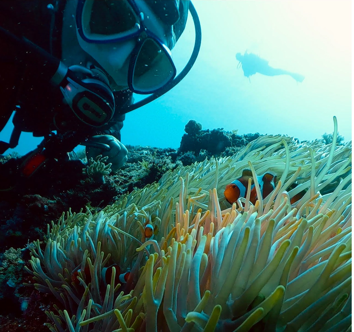 与那国は！ハンマーだけじゃない…！！(ハンマーにも会えてます♪)
