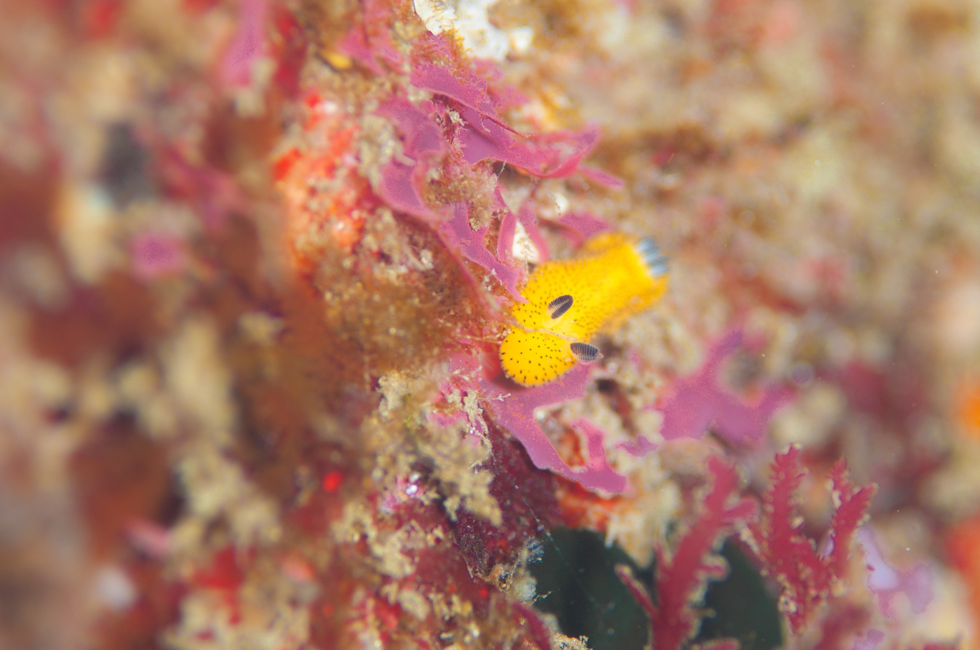 ホーム福浦、楽しいねぇ。