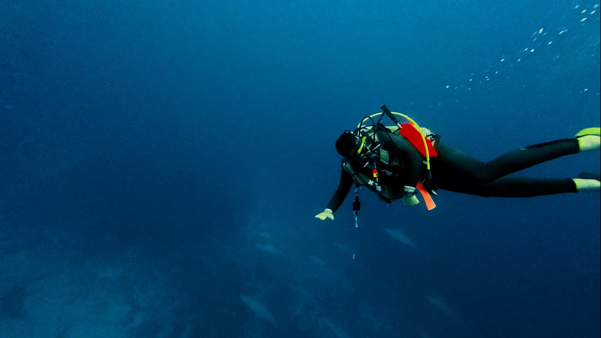 如月、はじまりはじまり