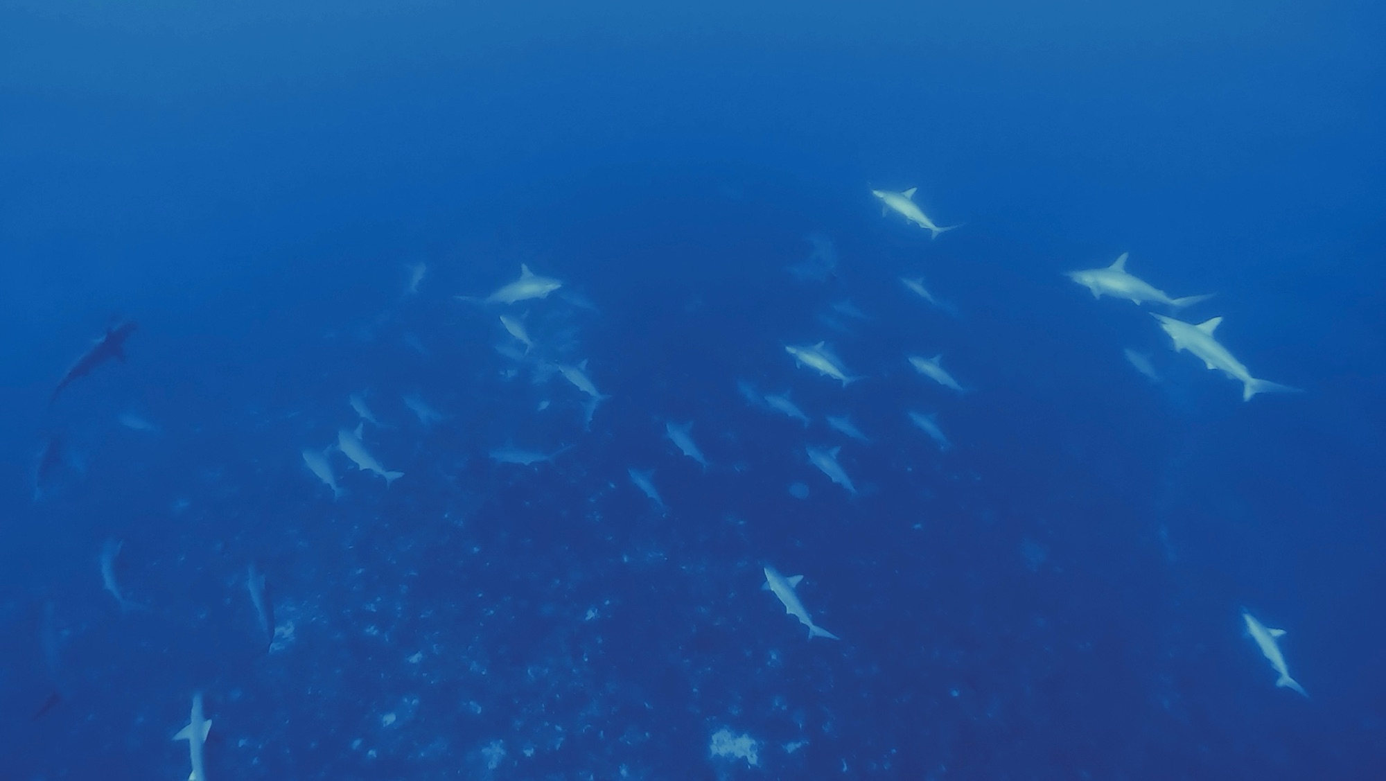 お水キレイキレイ