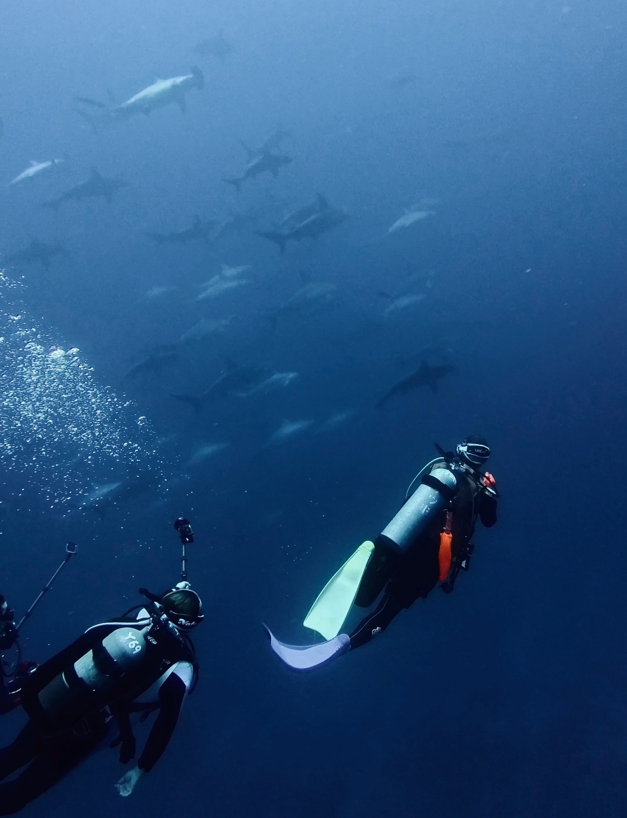 お潮さん、安定できそ？