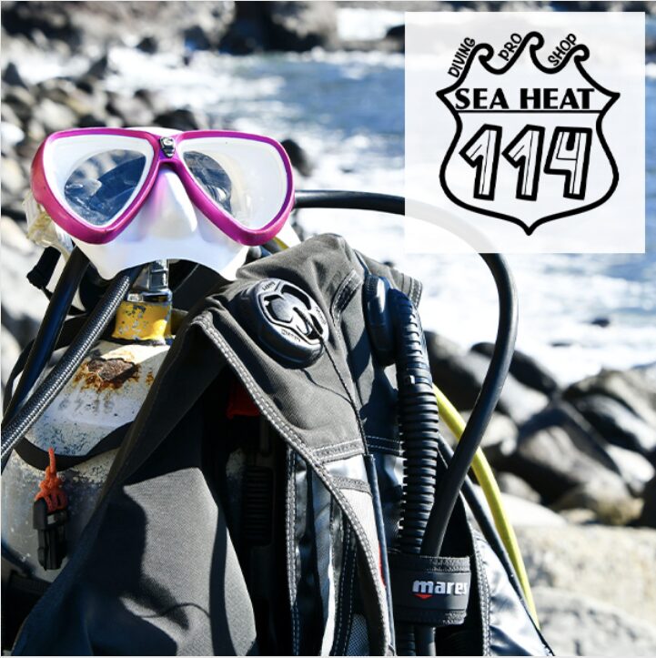 ファンダイビング料金一覧！レンタル代やDay trip料、割引、オプションの詳細も！